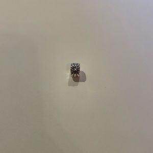 Pandora Retired Charm Divider